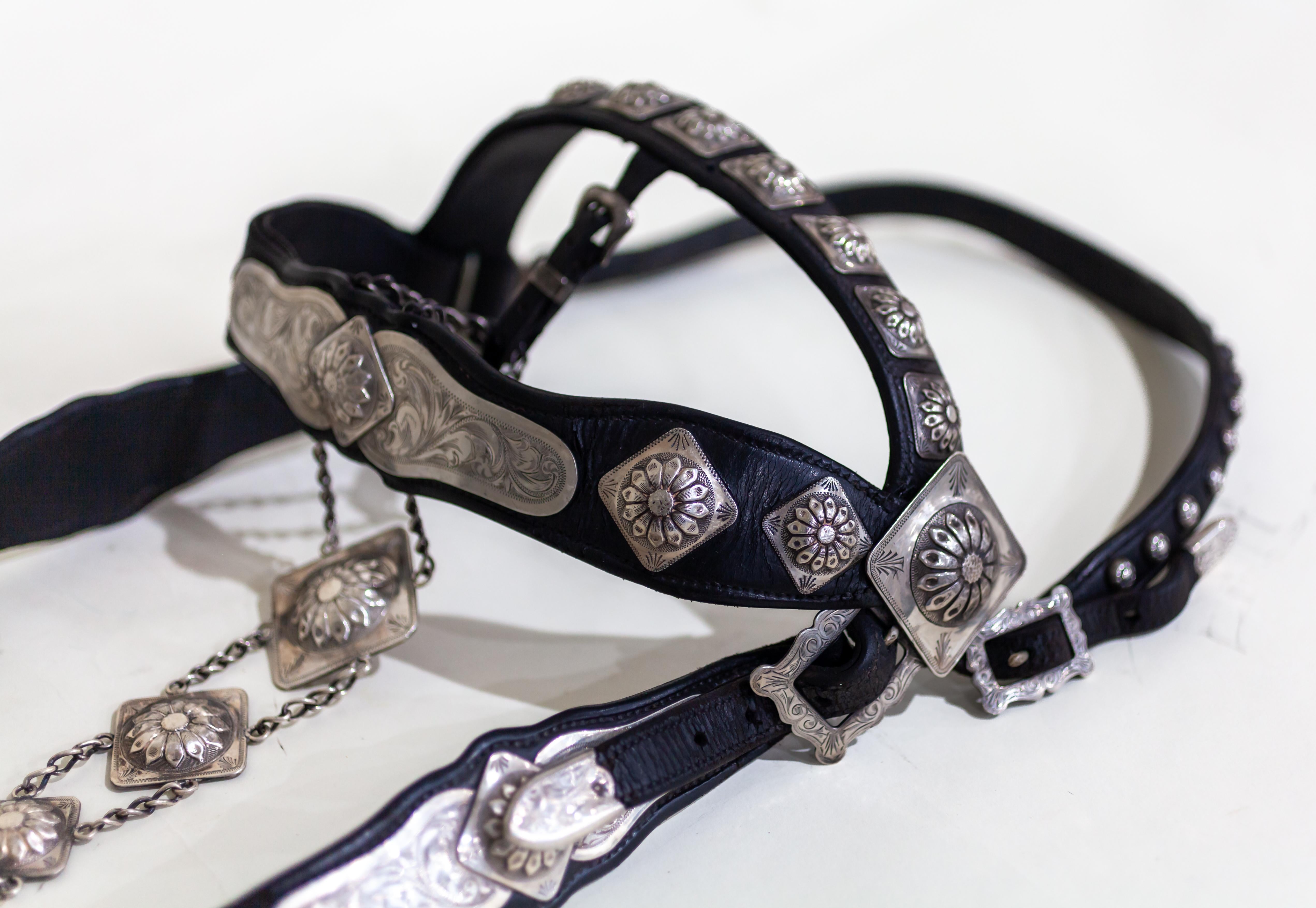 Edward Bohlin Sterling Silver and Stainless Leather Parade Headstall and Bit 1