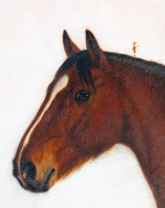 Portrait of a Horse in a landscape