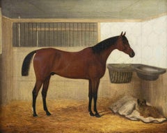 Canvas Animal Paintings