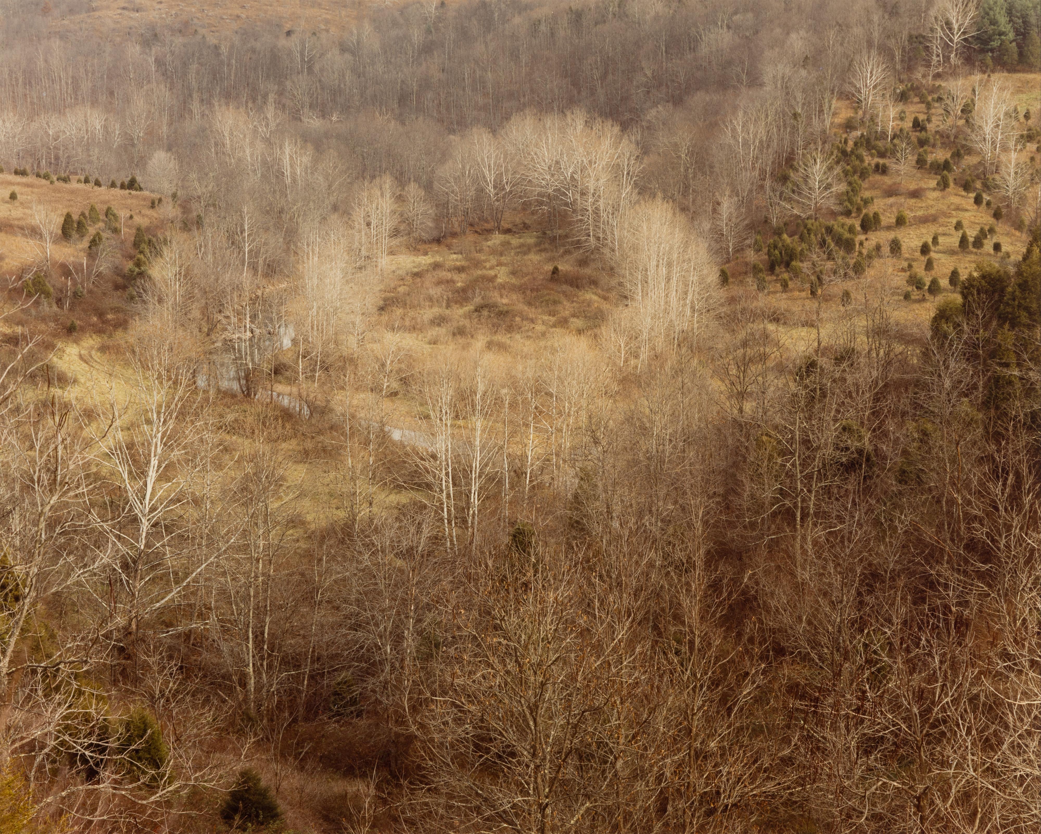 Circle, Virginie occidentale, automne 1982 en vente 9