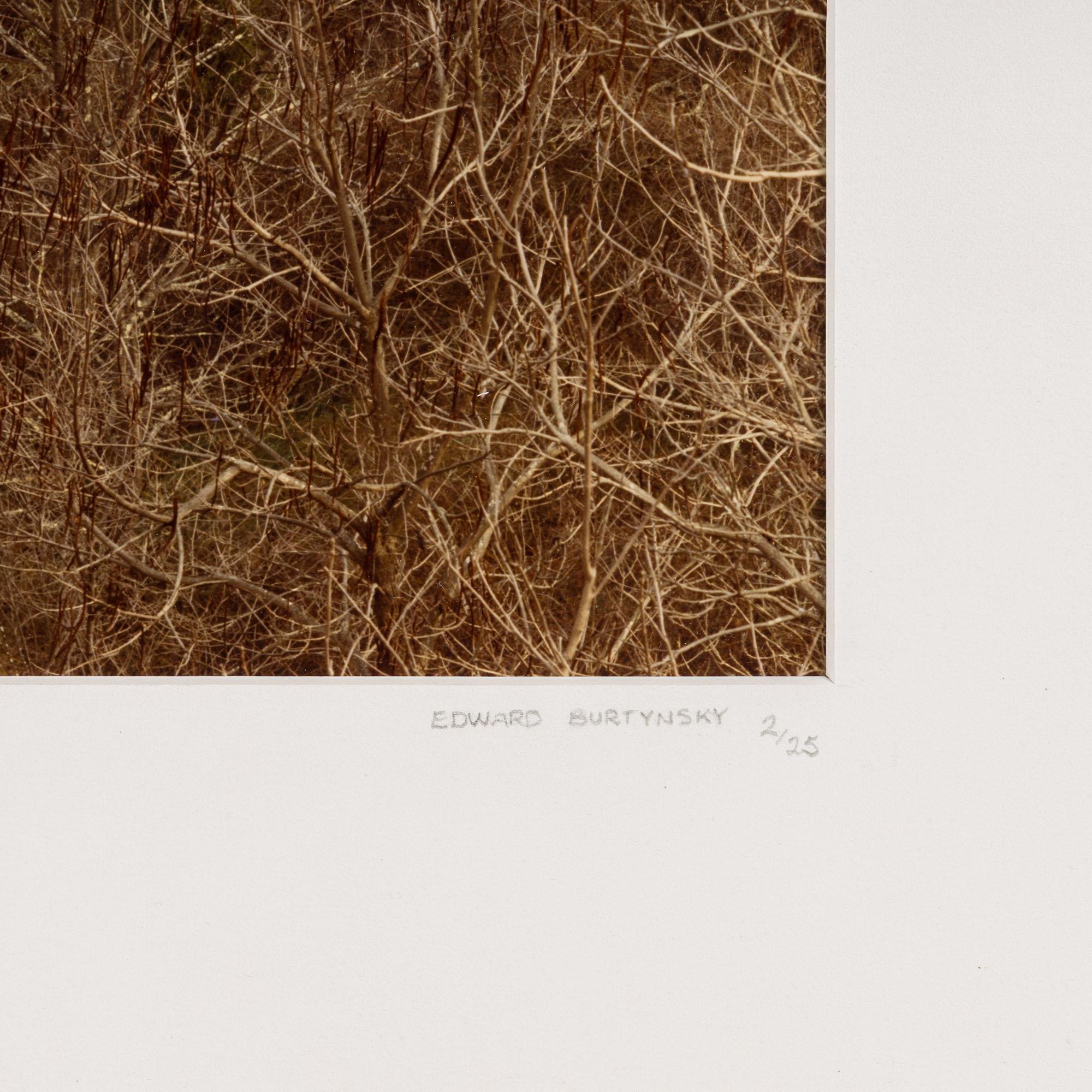 Circle, Virginie occidentale, automne 1982 - Contemporain Photograph par Edward Burtynsky