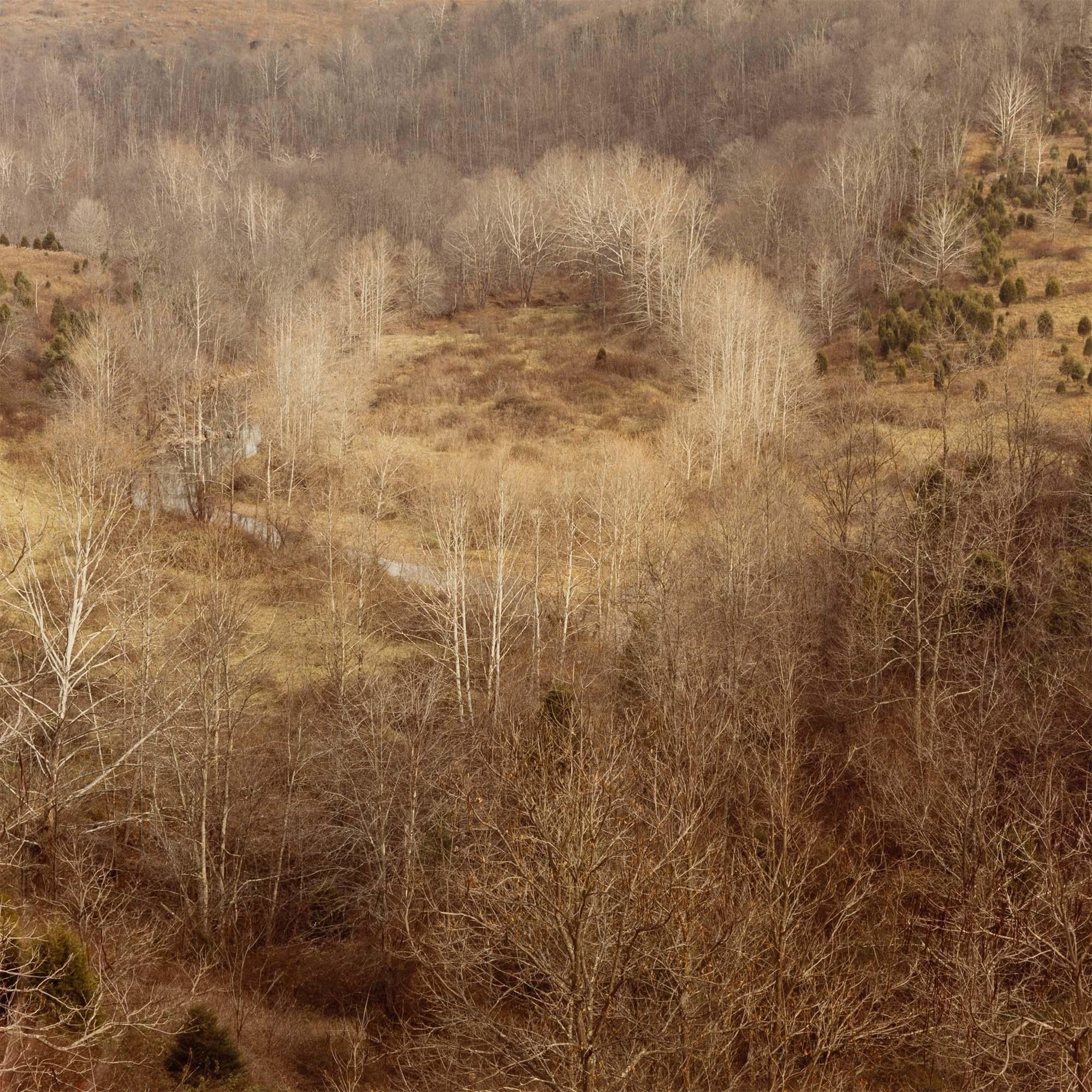 Circle, Virginie occidentale, automne 1982 - Beige Landscape Photograph par Edward Burtynsky