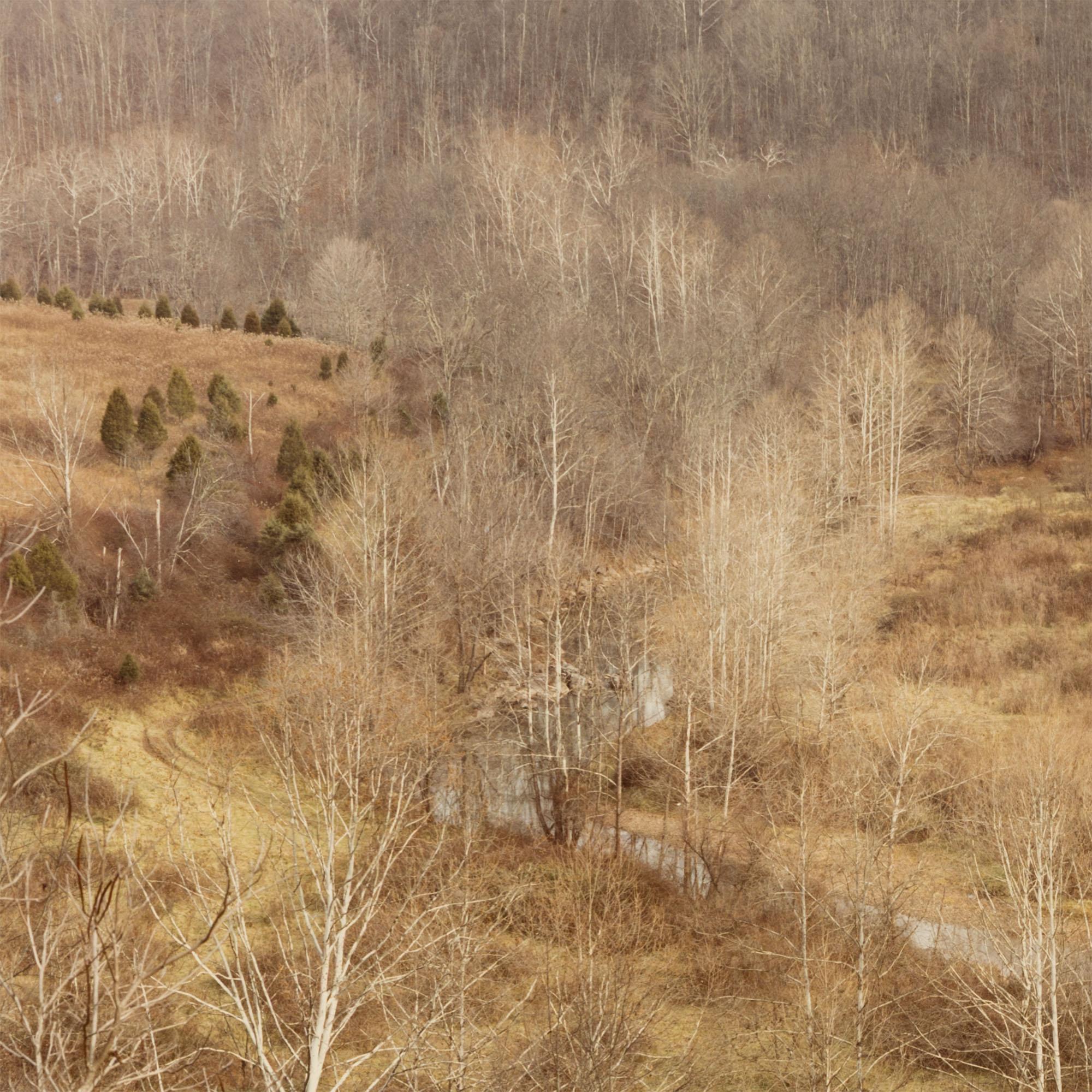 Edward Burtynsky (né en 1955) est l'un des photographes canadiens les plus connus. Il est internationalement reconnu pour ses photographies grand format documentant les ramifications de l'industrie sur l'environnement.

Dans les années 1980, au