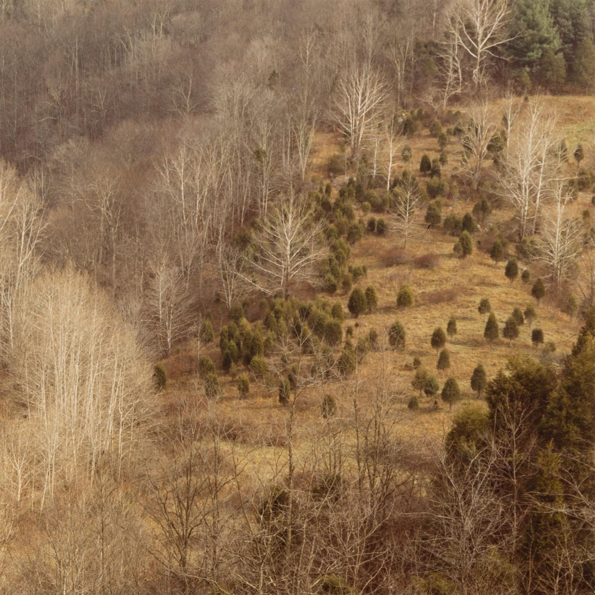 Circle, Virginie occidentale, automne 1982 en vente 1