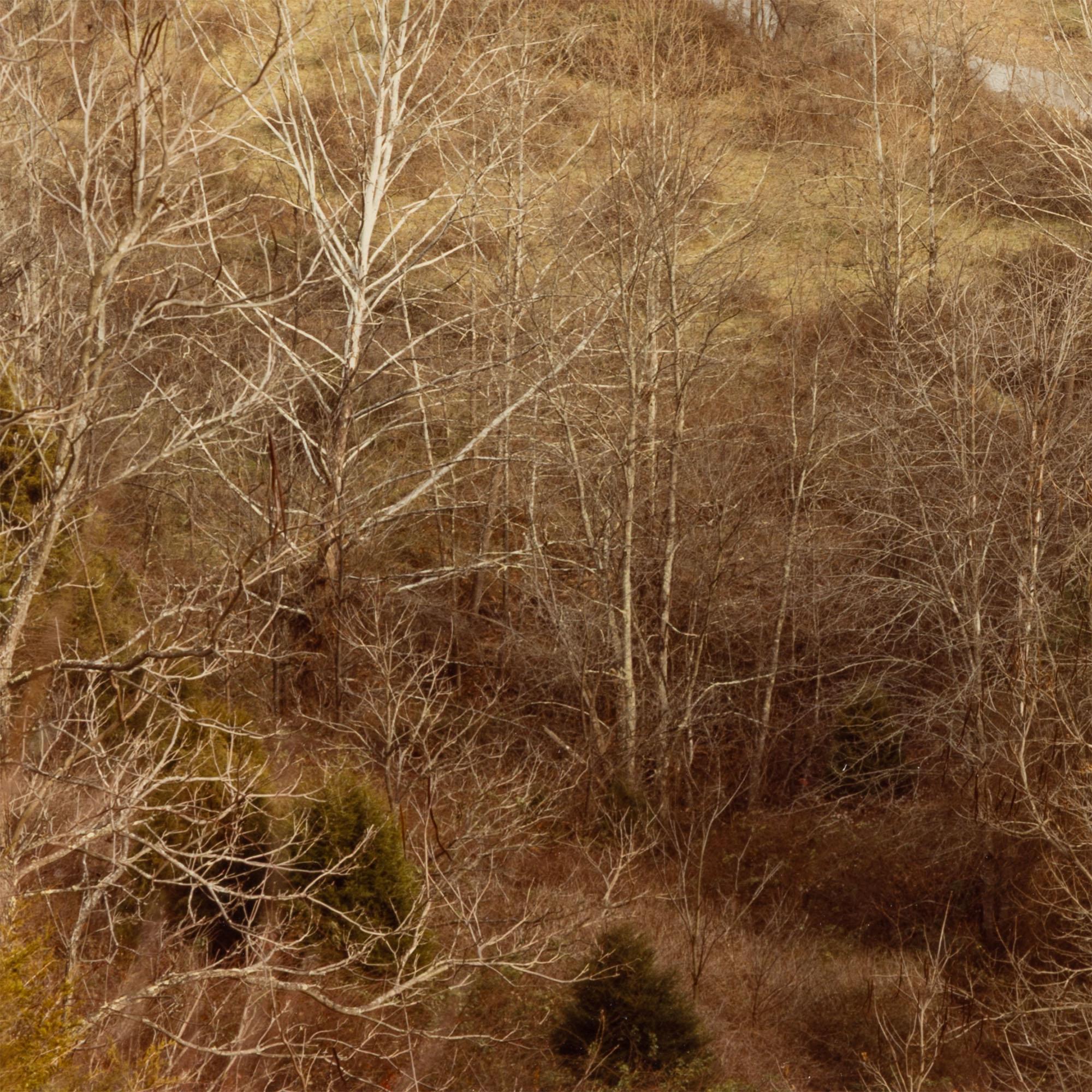 Circle, Virginie occidentale, automne 1982 en vente 2