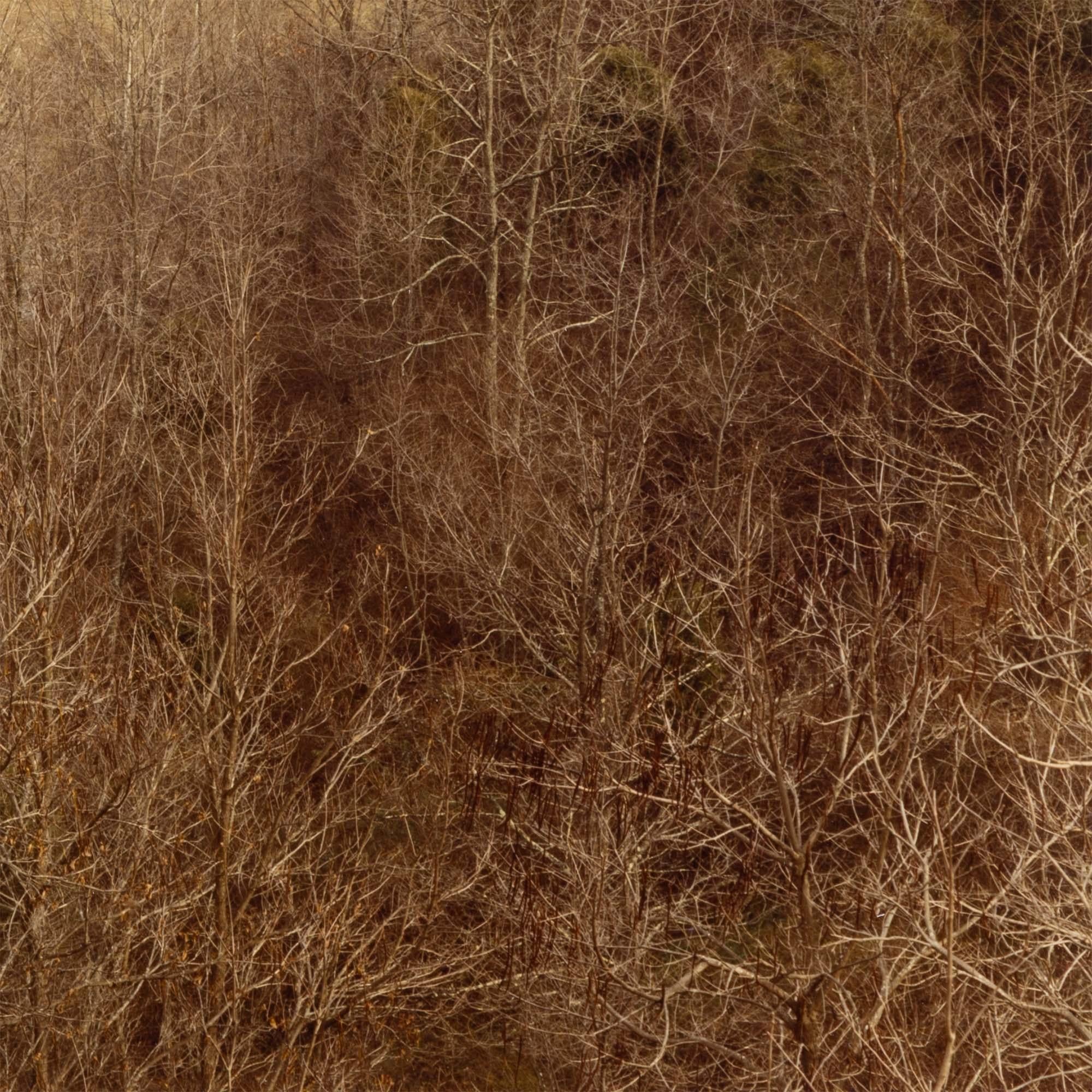 Circle, Virginie occidentale, automne 1982 en vente 3