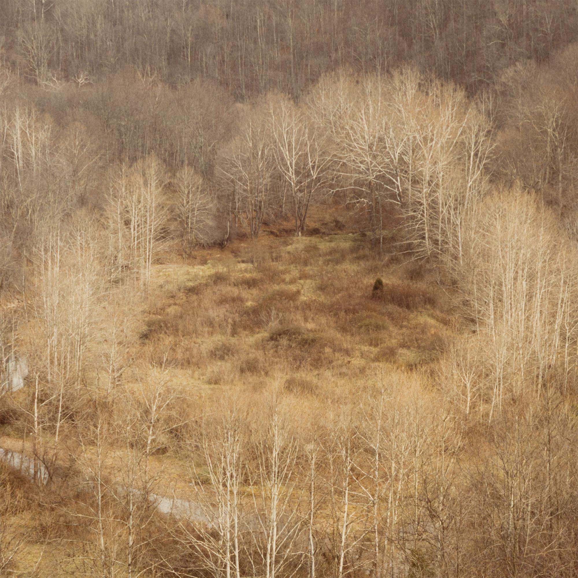 Circle, Virginie occidentale, automne 1982 en vente 4