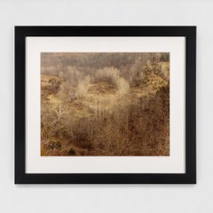 Circle, West Virginia, Fall 1982