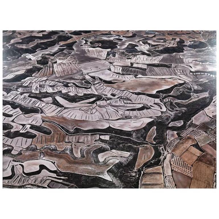 Dryland Farming #13, Monegros County, Aragon, Spain - Photograph by Edward Burtynsky