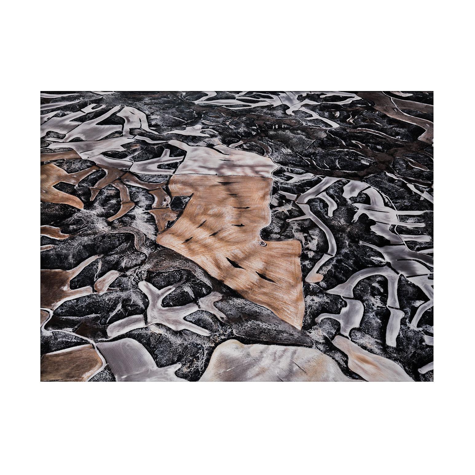 Agricoltura a secco #25, Contea di Monegros, Aragona, Spagna, 2010 - Photograph di Edward Burtynsky