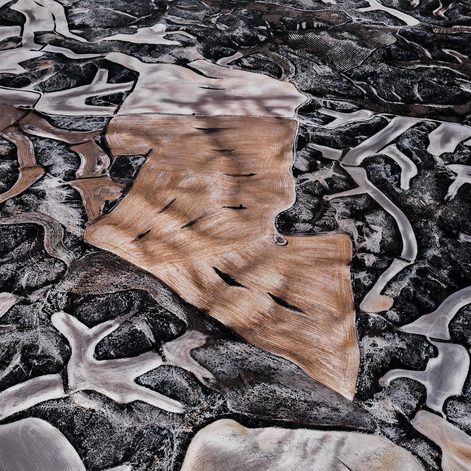 Agricoltura a secco #25, Contea di Monegros, Aragona, Spagna, 2010 - Photograph Contemporaneo di Edward Burtynsky