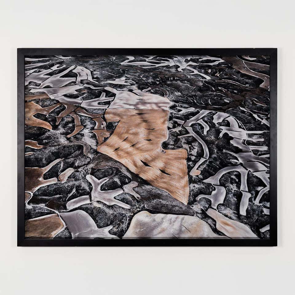 Dryland Farming #25, Monegros County, Aragon, Spain, 2010