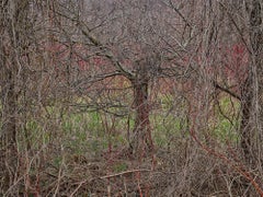 Natural Order #28, Grey County, Ontario, Canada, Spring – Burtynsky, Landscape