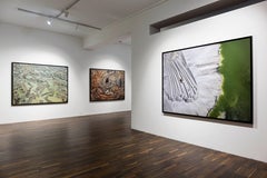 Edward Pond #4, vicino a Lakeland, Florida, USA - Edward Burtynsky