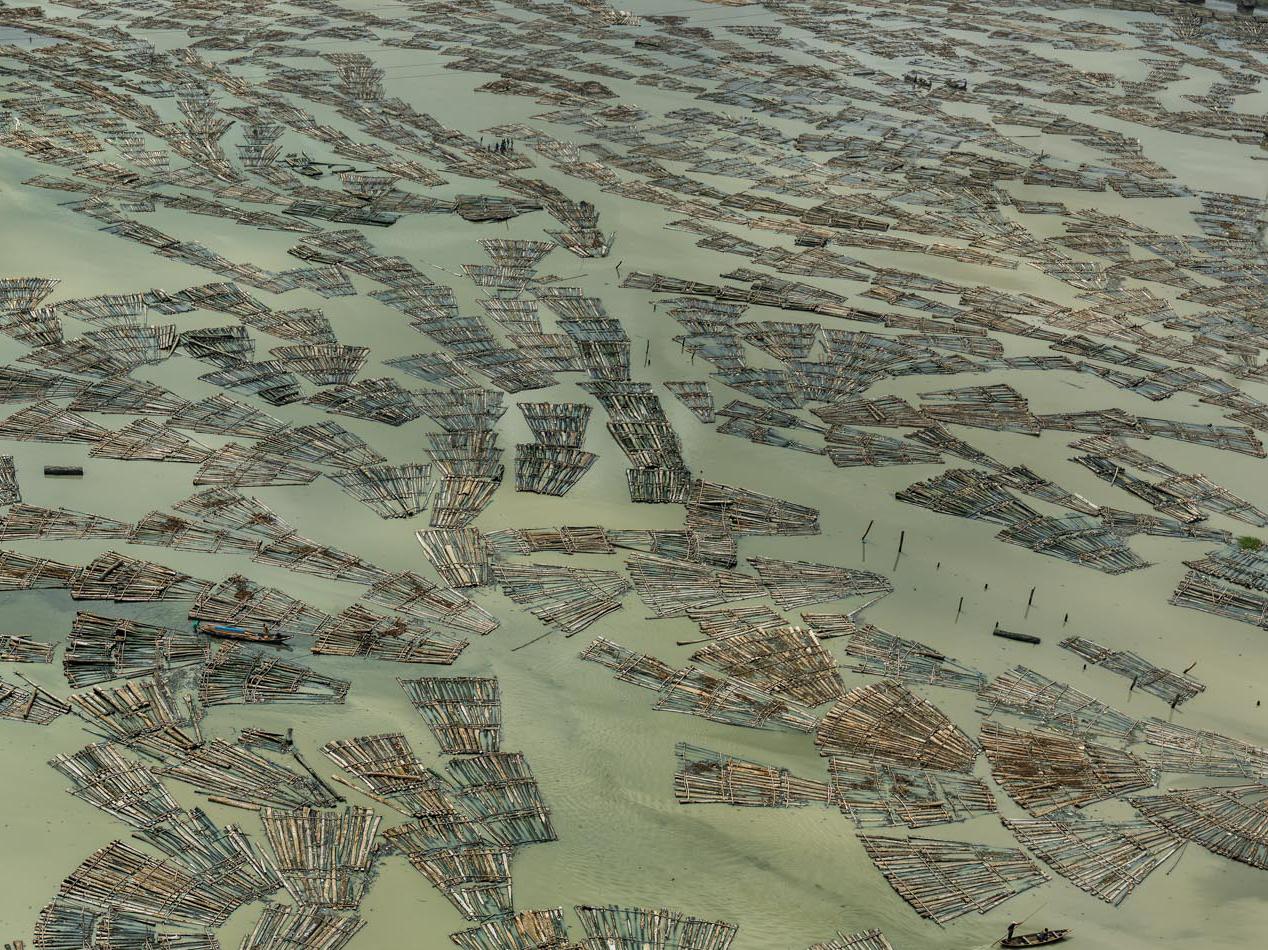 Saw Mills #3, Log Booms, Lagos, Nigeria Edward Burtynsky, Landschaft, Farbe im Angebot 4