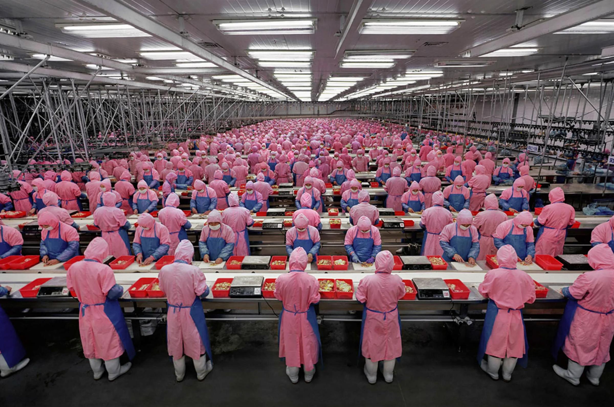 Edward Burtynsky Interior Print - 'Manufacturing #17' Deda Chicken Processing Plant, Jilin Province, China