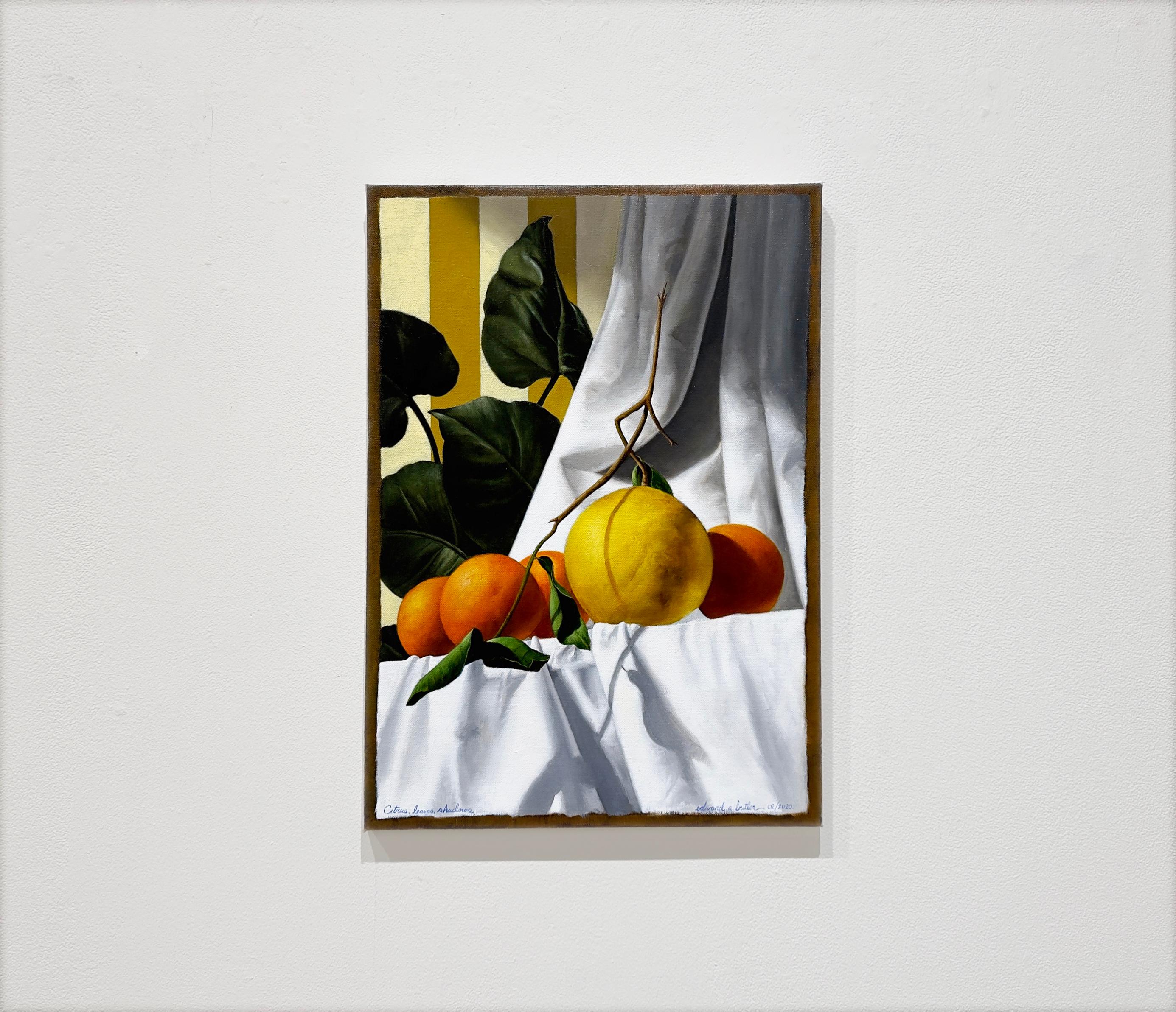CITRUS, LEAVES, SHADOWS - Still Life, Fruits, Plants - Painting by Edward Butler