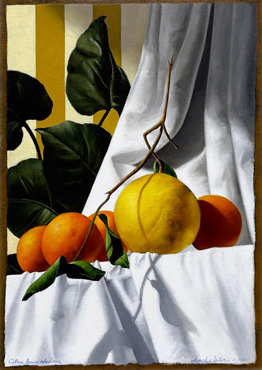 Edward Butler Still-Life Painting – CITRUS, LEAVES, SHADOWS – Stillleben, Früchte, Pflanzen