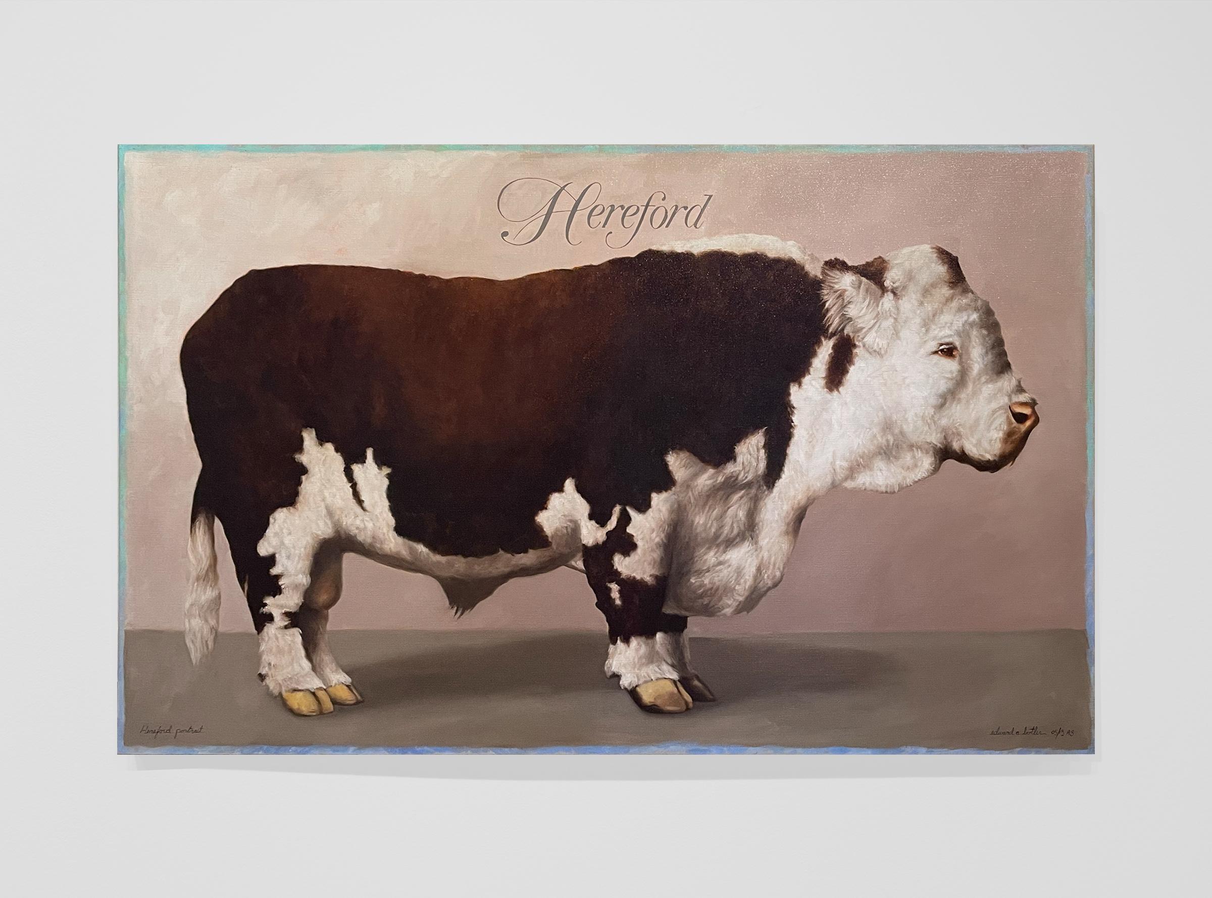 HEREFORD - Contemporary Realism / Animal Portrait / Cow / Still Life - Painting by Edward Butler
