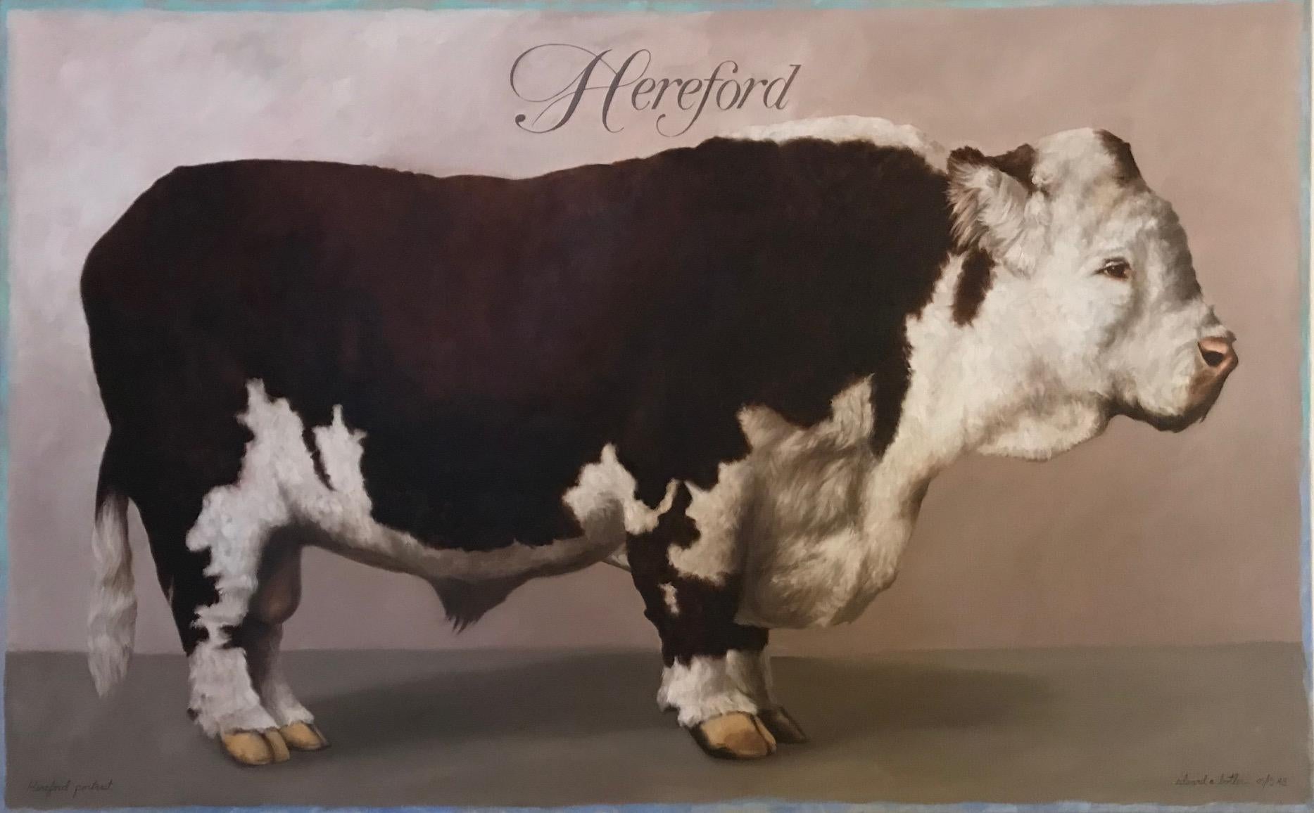 Edward Butler Animal Painting - HEREFORD - Contemporary Realism / Animal Portrait / Cow / Still Life