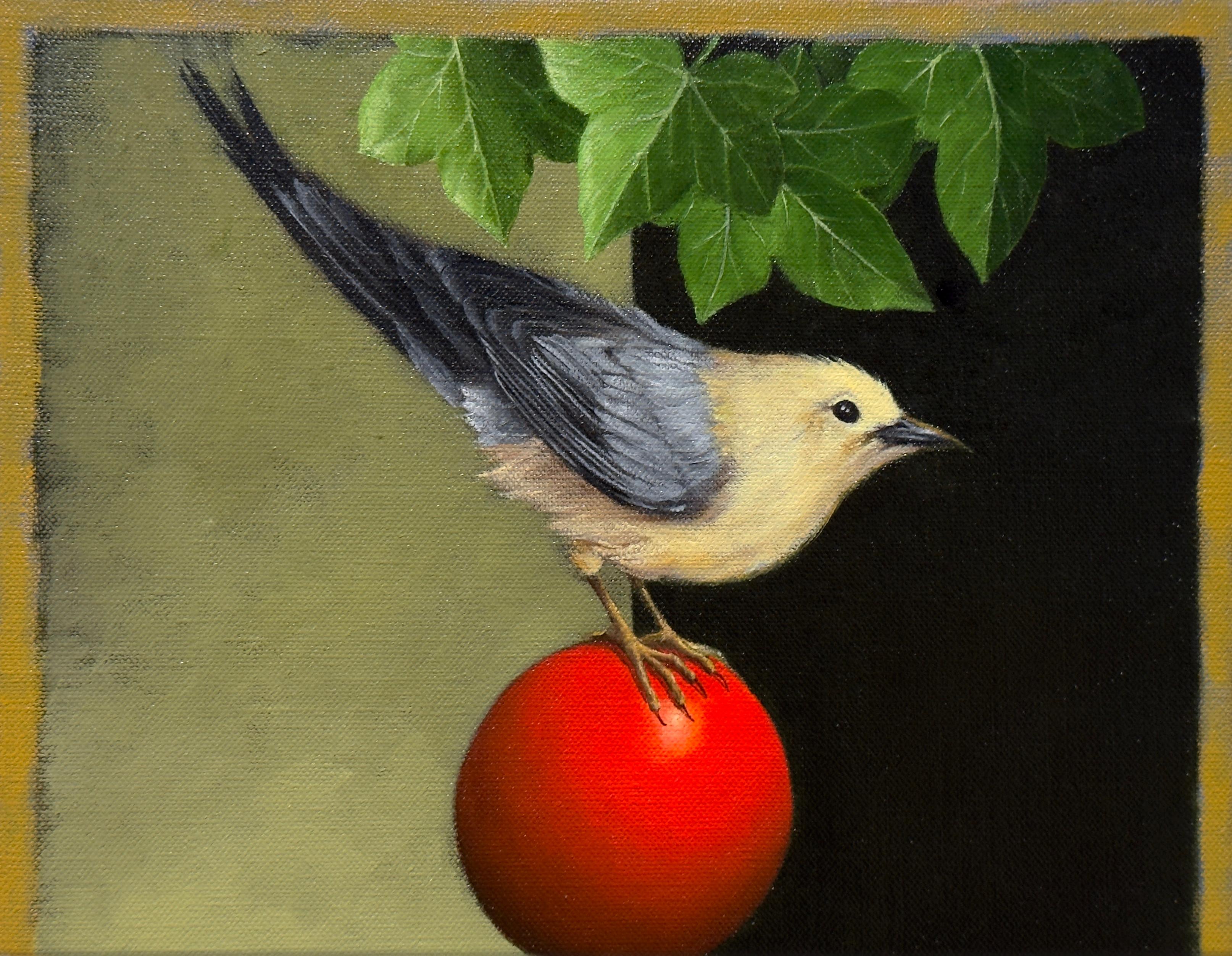EQUILIBRIO IMPROBABILE: PALLE ROSSE - Realismo / Natura morta / Uccello / Passero - Still-Life Painting Nero di Edward Butler
