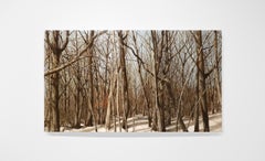 ARBRES, NEIGE, OMBRE - Réalisme / Paysage d'hiver / Scène de nature