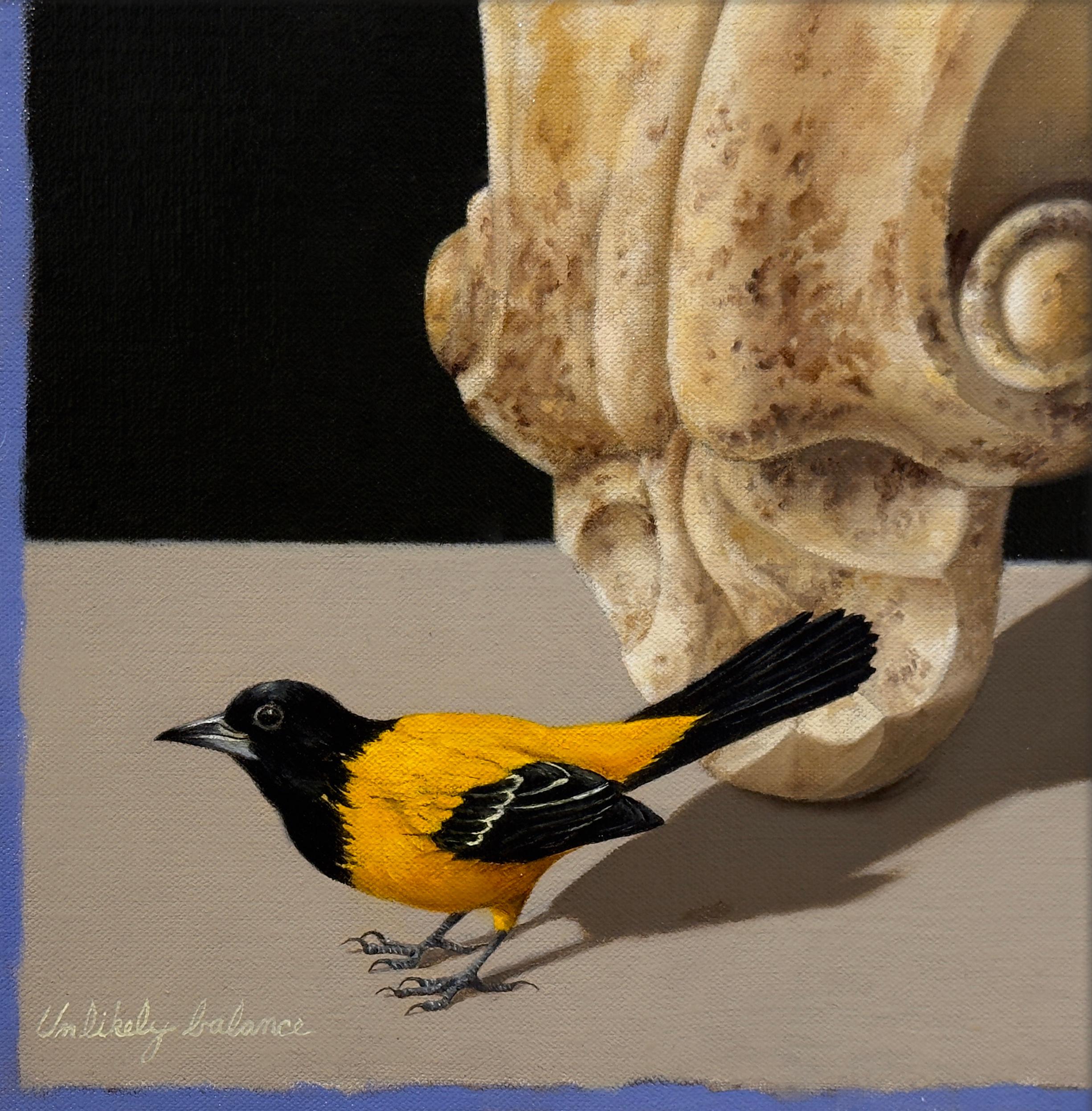 UNLIKELY BALANCE- Bird, Still Life, Realism For Sale 1