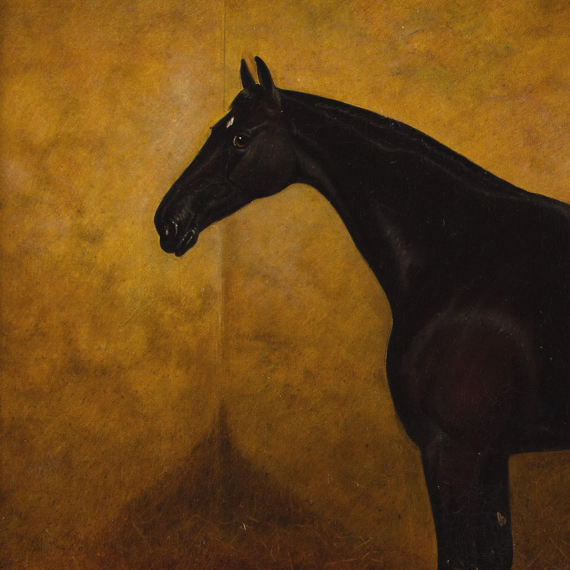 Edward Corbet, Retrato de Black Jack, un cazador de la Bahía Oscura 7