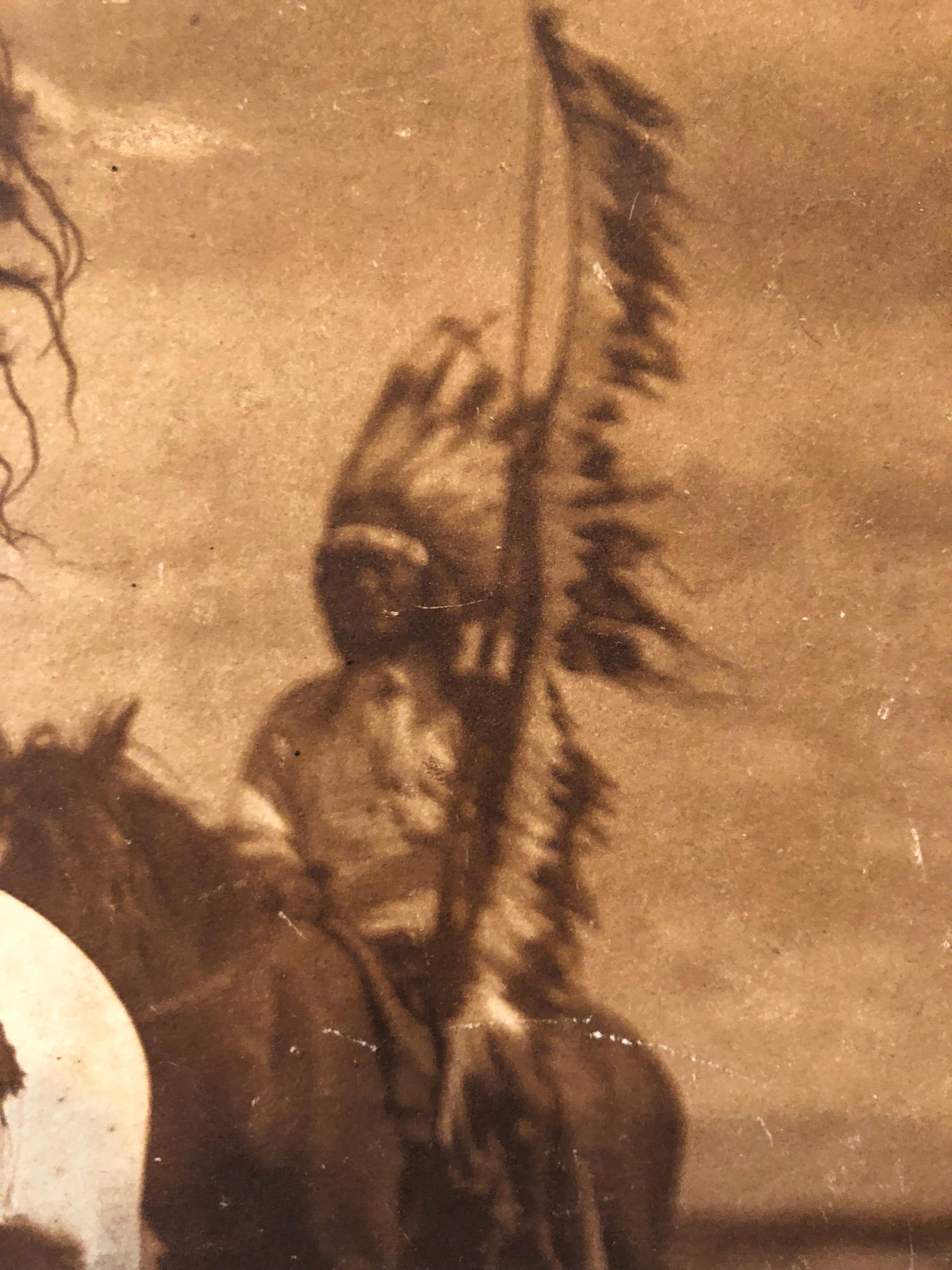 American Edward Curtis Photogravure Sioux Chiefs