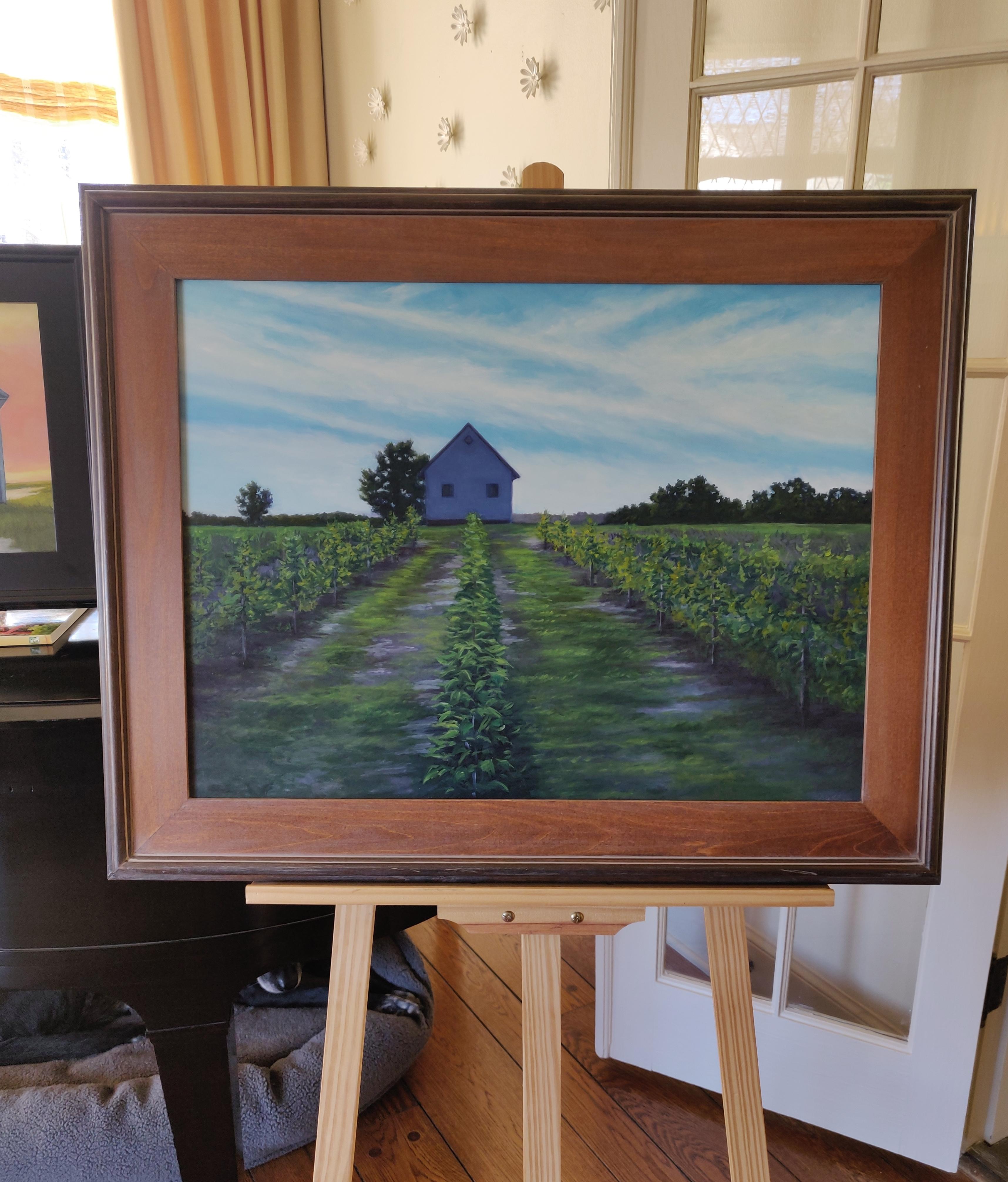 The Vineyard, contemporary landscape, oil painting, field, white house - Painting by Edward Duff