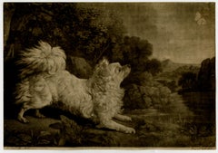Antique A french fox dog chasing a butterfly by Edward Fisher - Mezzotint - 18th Century