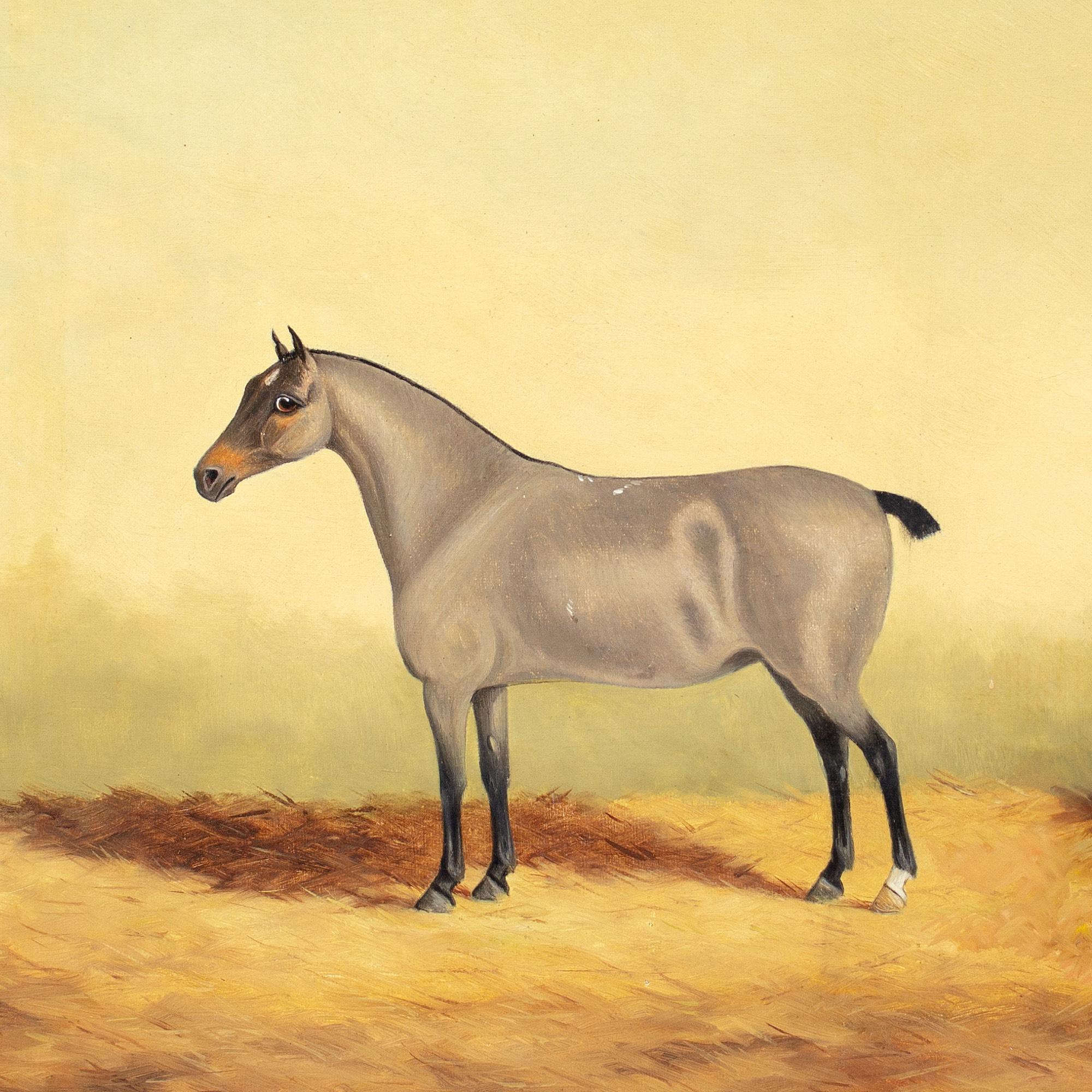 Edward Garraway, Ritratto di Tottie 6