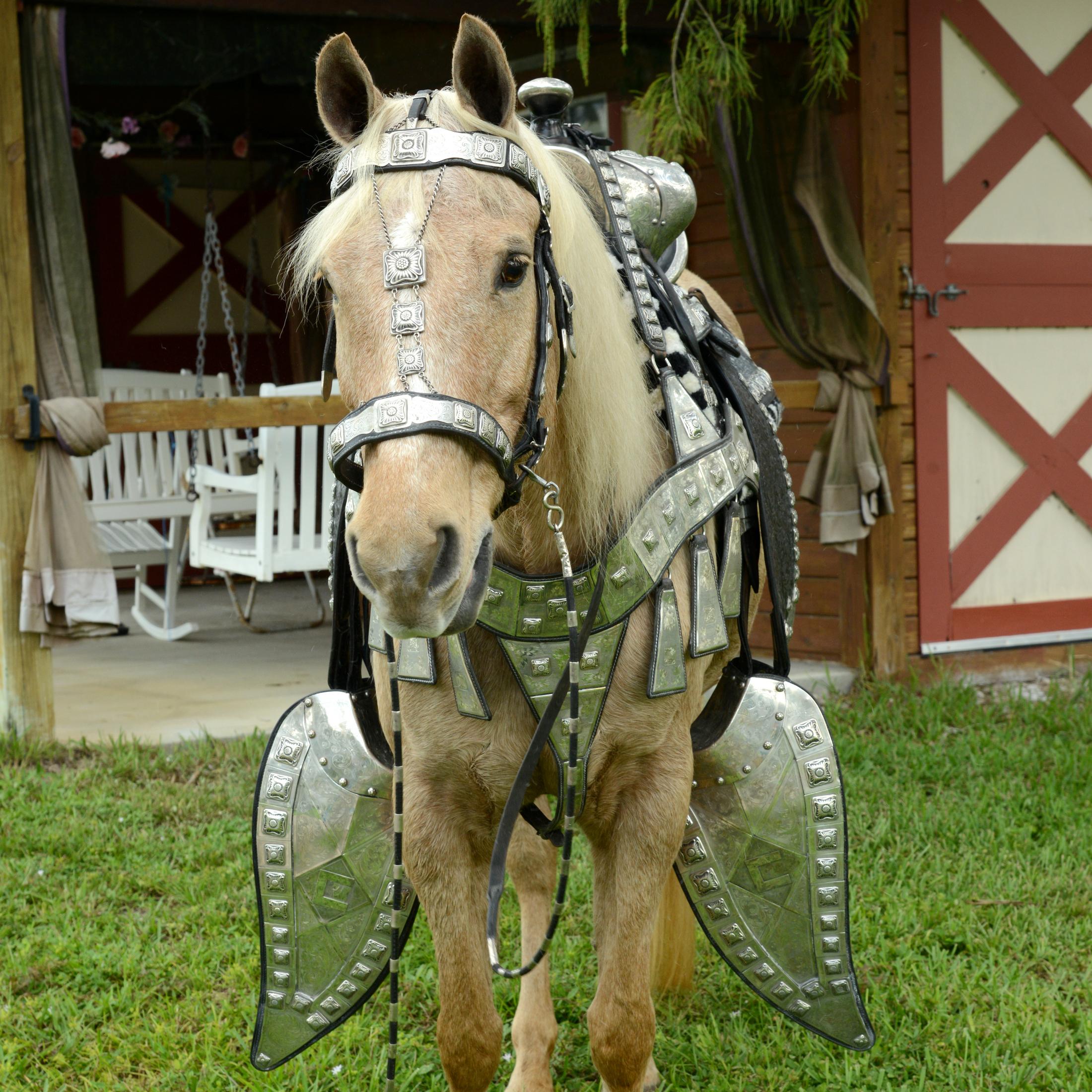 Edward H. Bohlin Parade Saddle Set For Sale 7