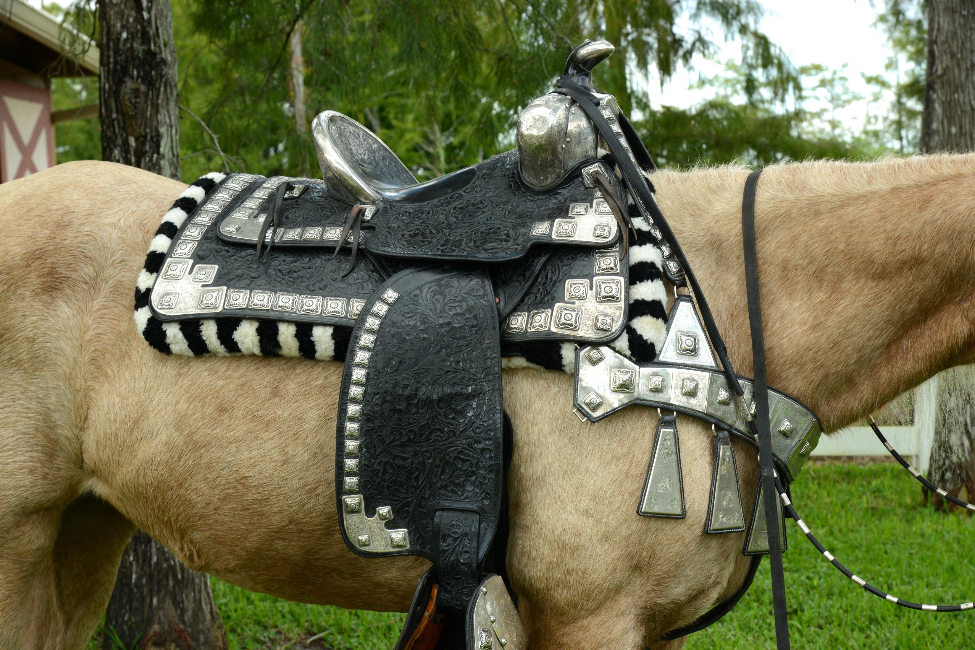 Edward H. Bohlin Parade Saddle Set For Sale 8
