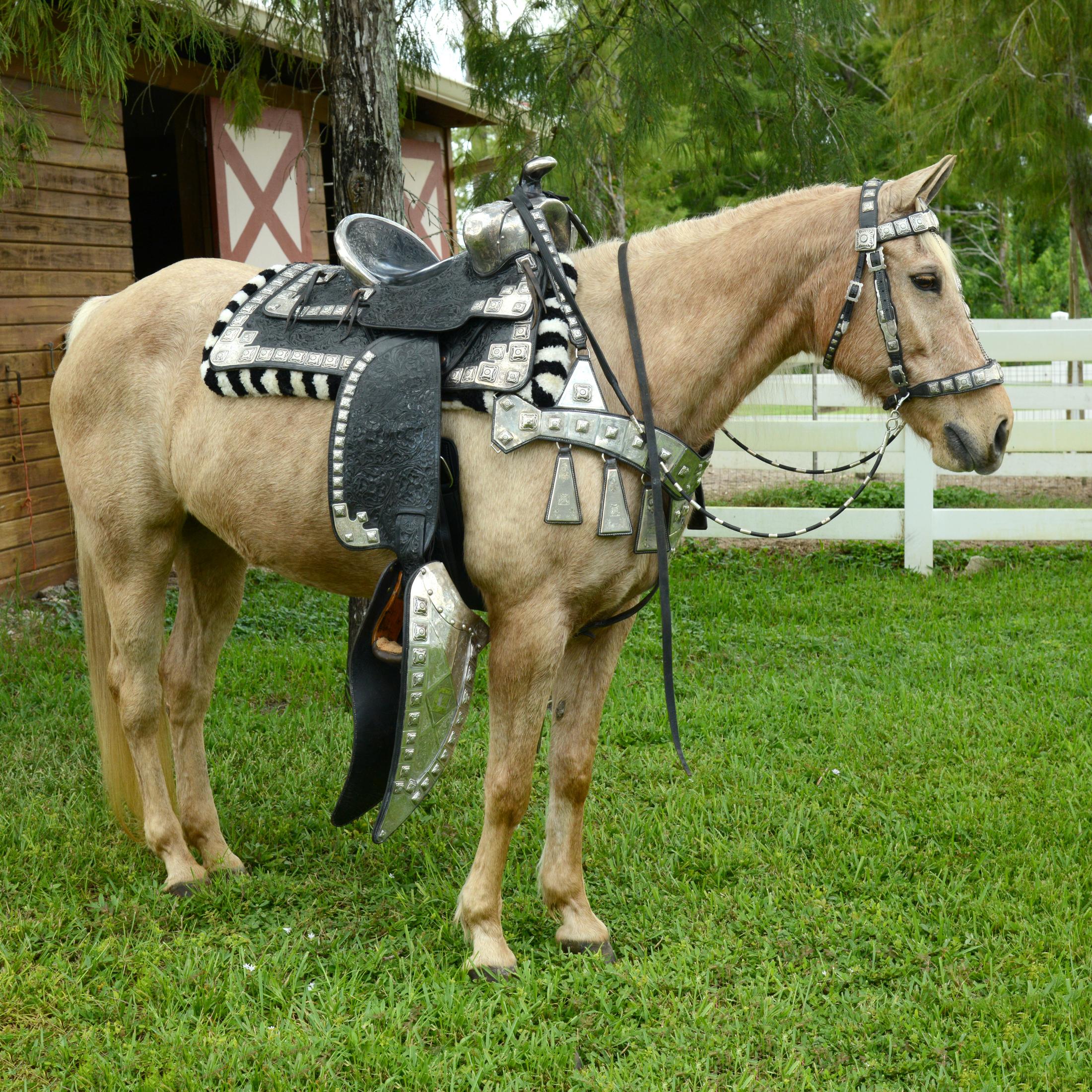 Edward H. Bohlin Parade Saddle Set For Sale 9