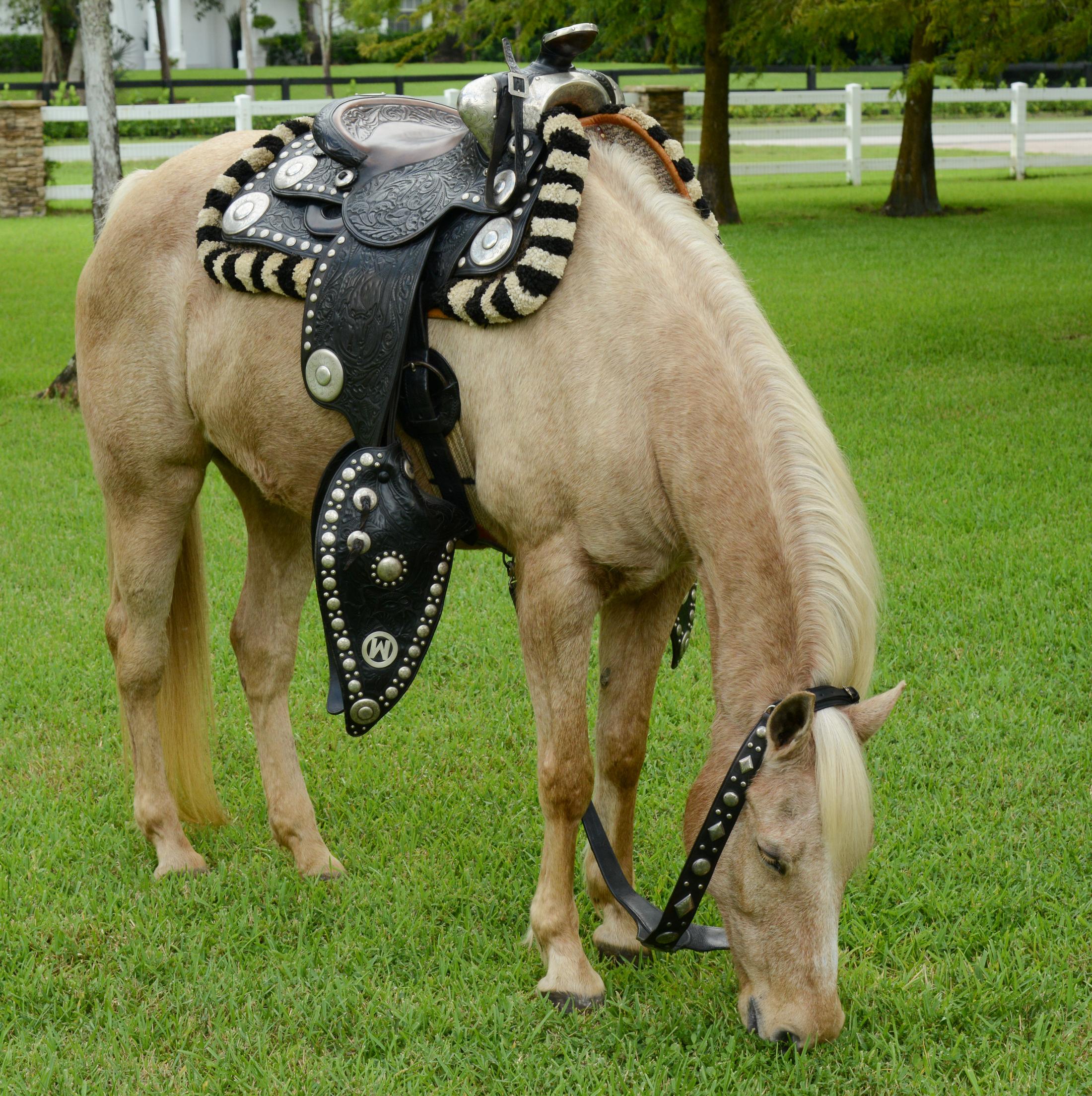 Edward H. Bohlin RANCHERO Parade Saddle Set For Sale 8