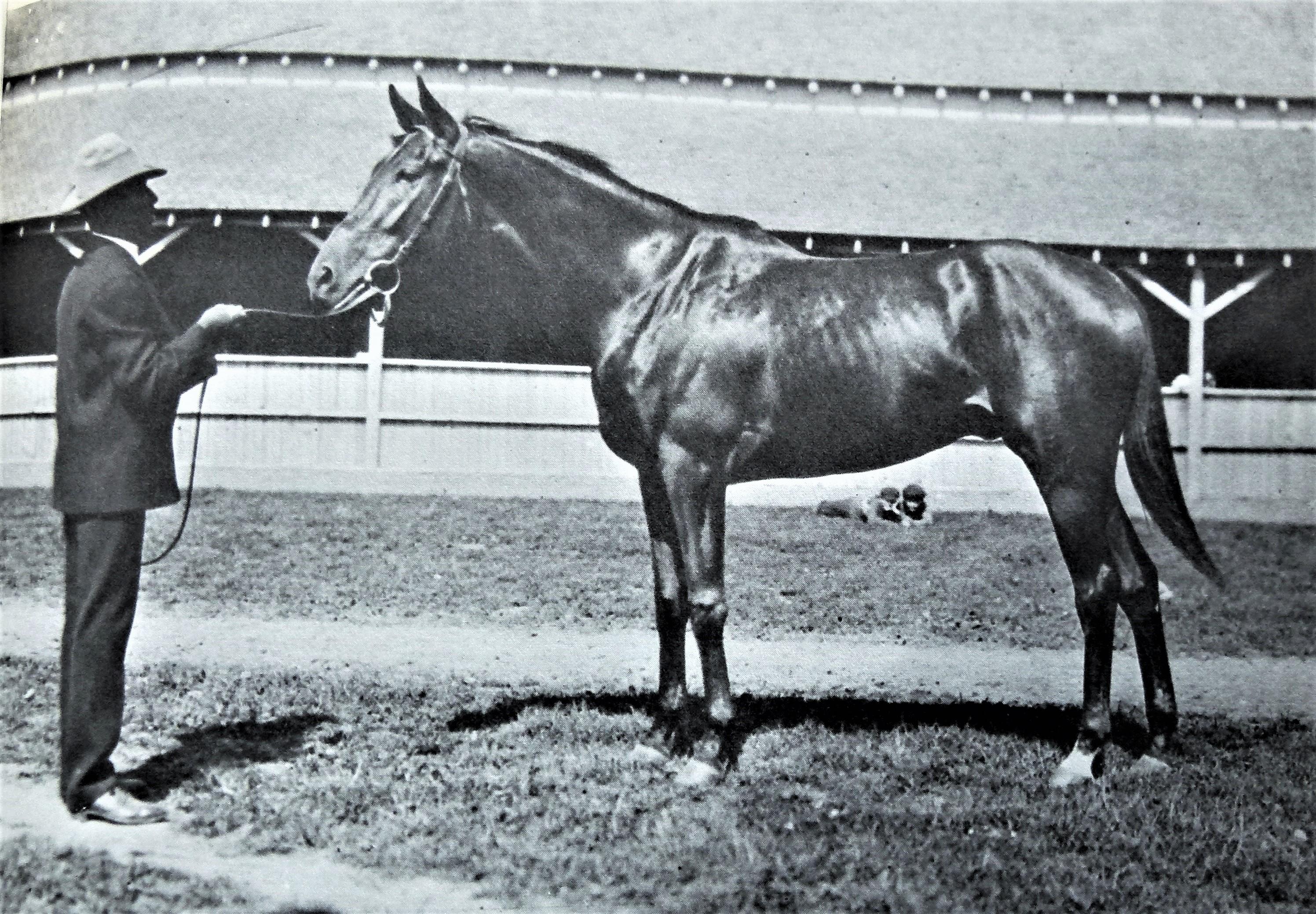 Champion « Sysonby » (1902-1906) Edward Herbert Miner en vente 10