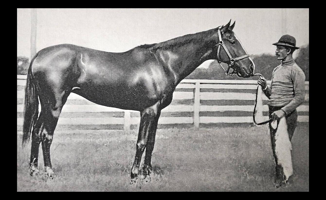Champion « Sysonby » (1902-1906) Edward Herbert Miner en vente 11