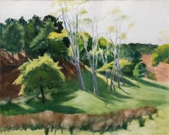 Paint Landscape Paintings