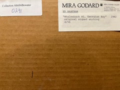 Whaleback #2, Georgian Bay