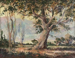 Early 20th Century California Landscape - Sunrise On Tin Mountain, Death Valley