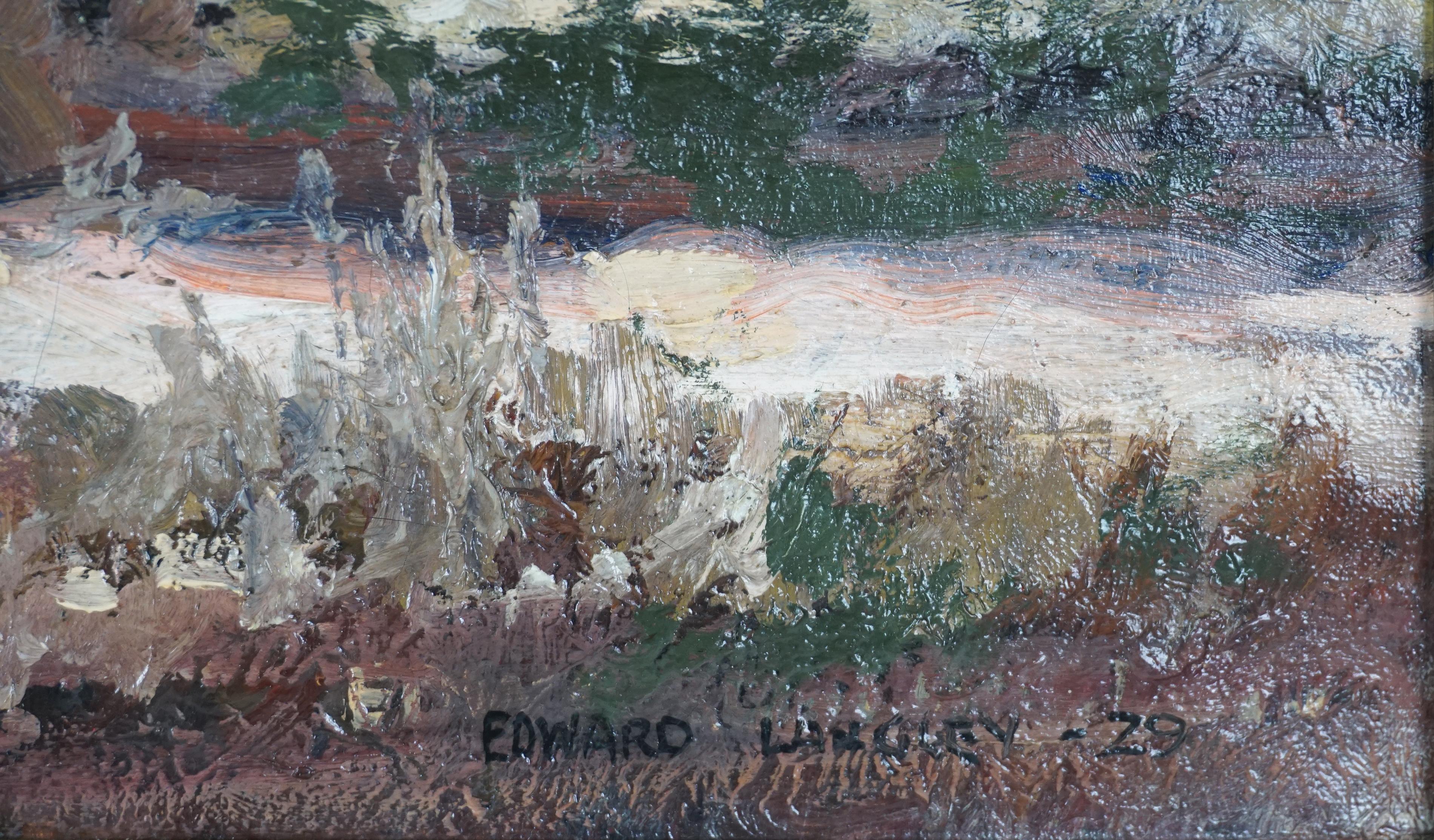 Paysage californien du début du 20e siècle - lever au sommet de la montagne de Tin, vallée de la mort en vente 1