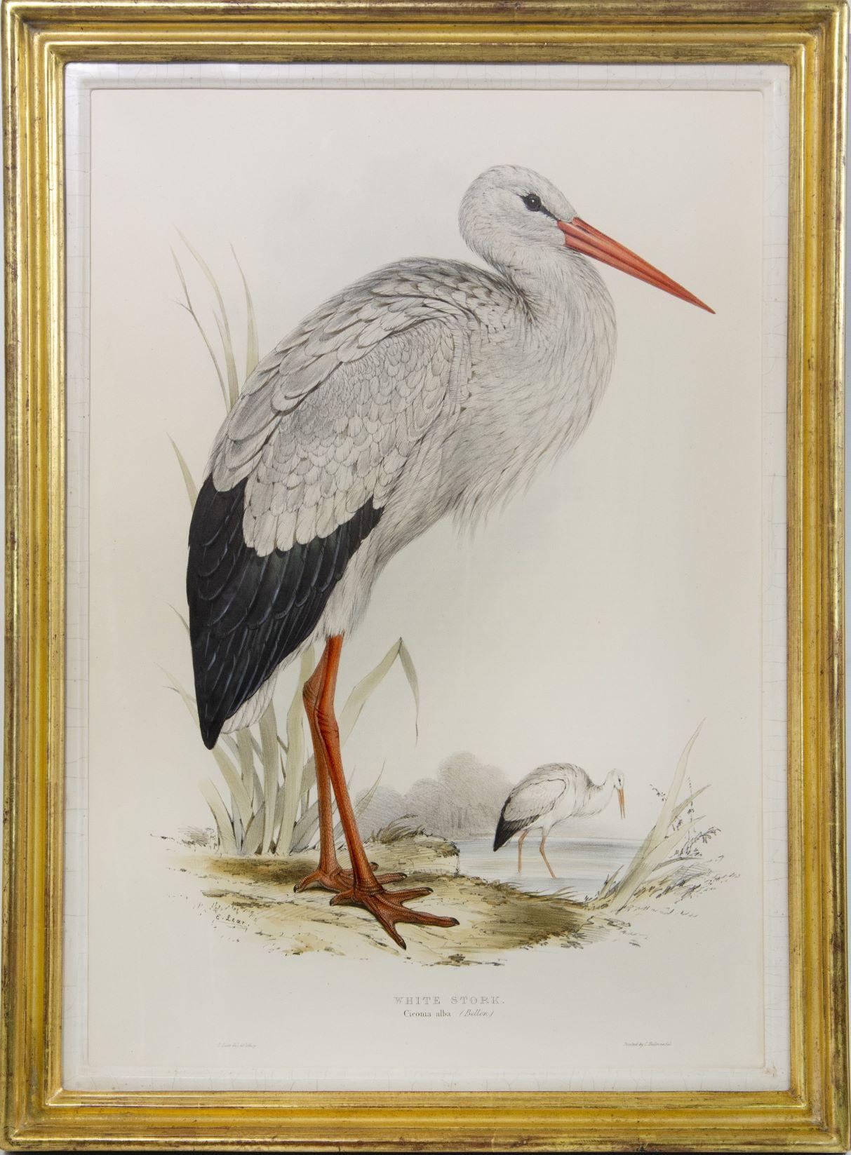 edward lear paintings for sale