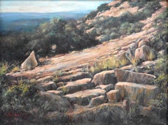 "ENCHANTED ROCK" TEXAS LANDSCAPE FREDERICKSBURG TEXAS NATURE EDWARD REICHERT