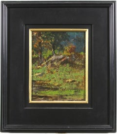 Senza titolo - {Campo con alberi e rocce}