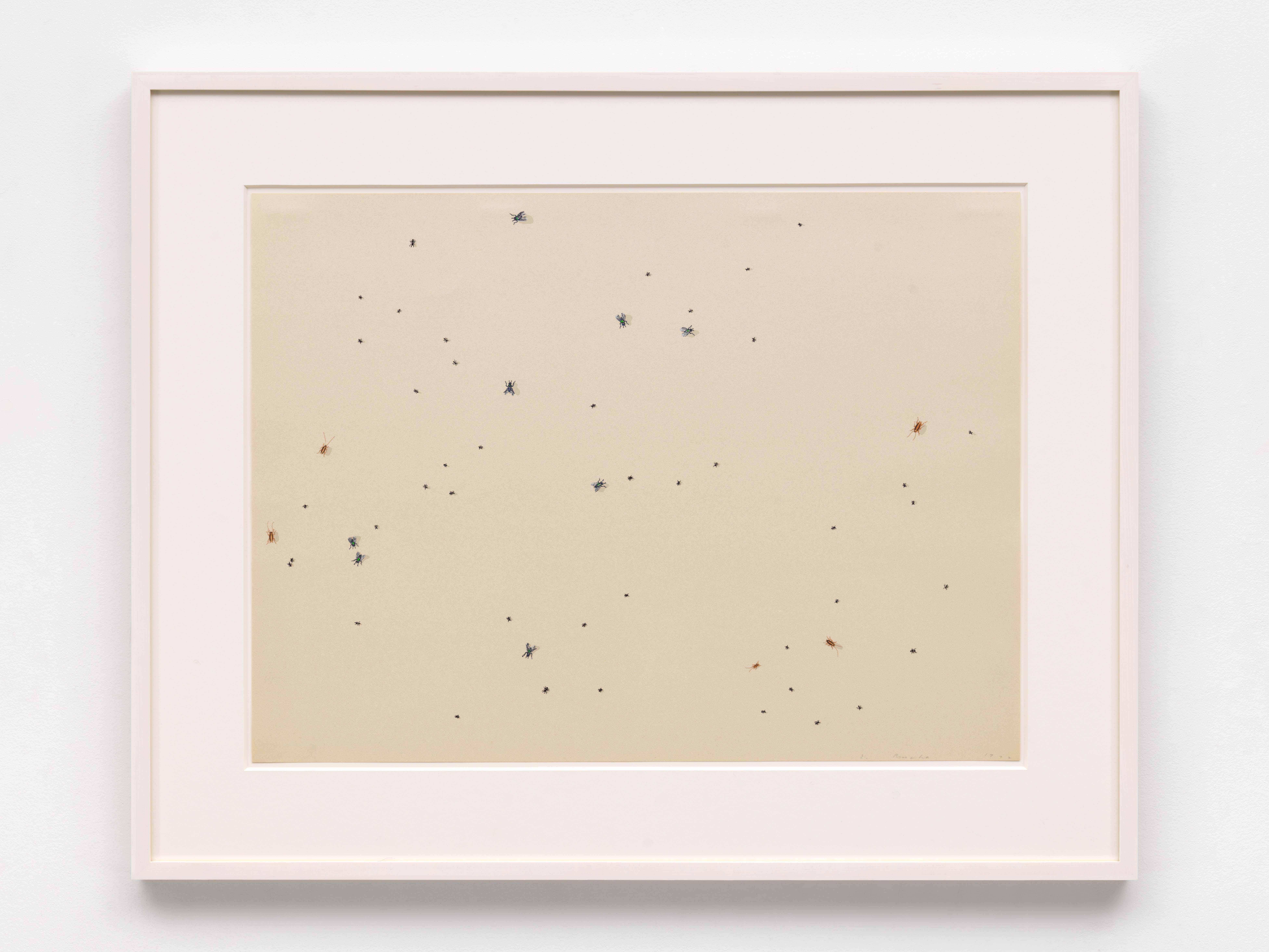 ed ruscha insects