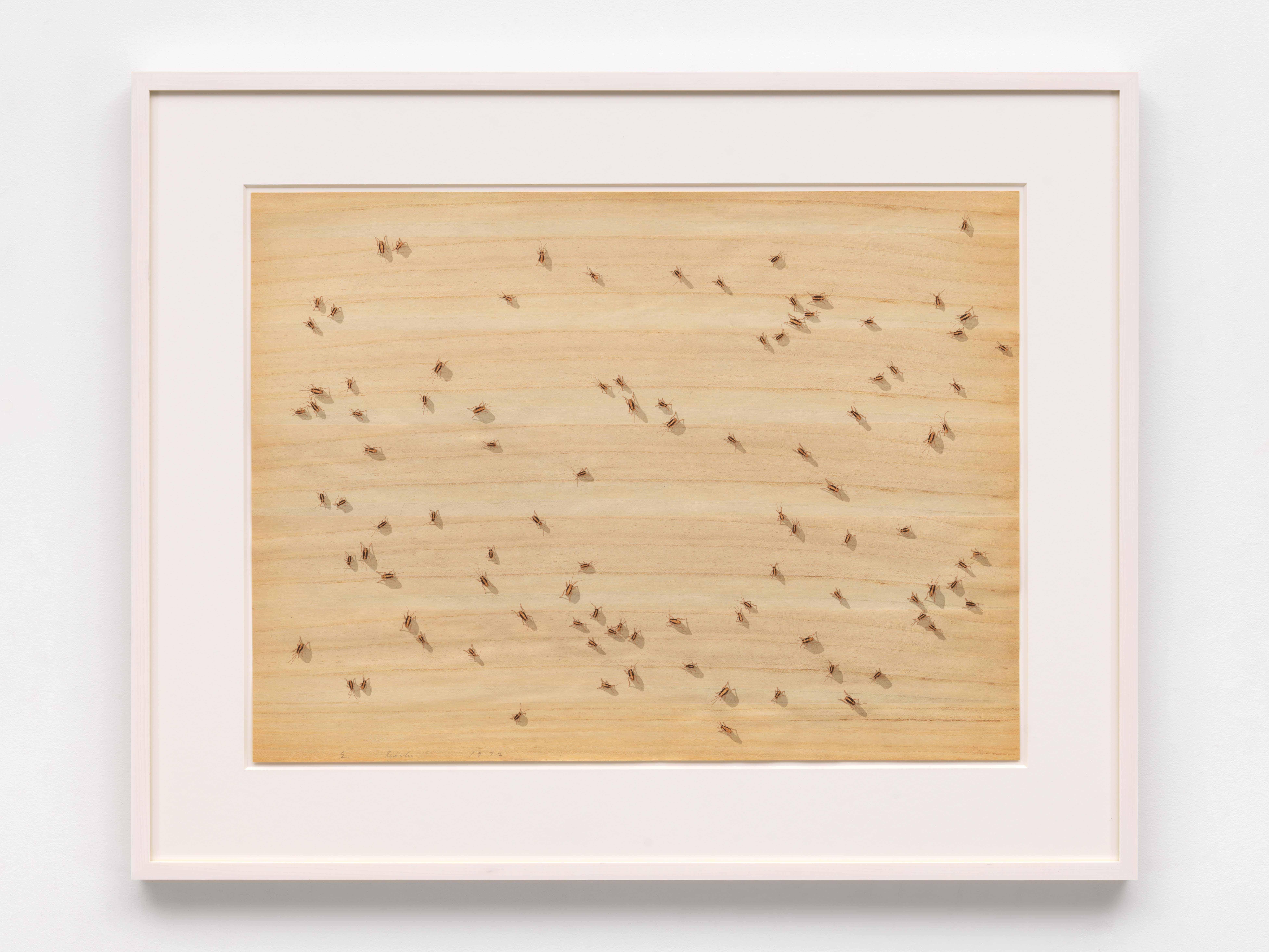 Insects - Contemporary Print by Ed Ruscha