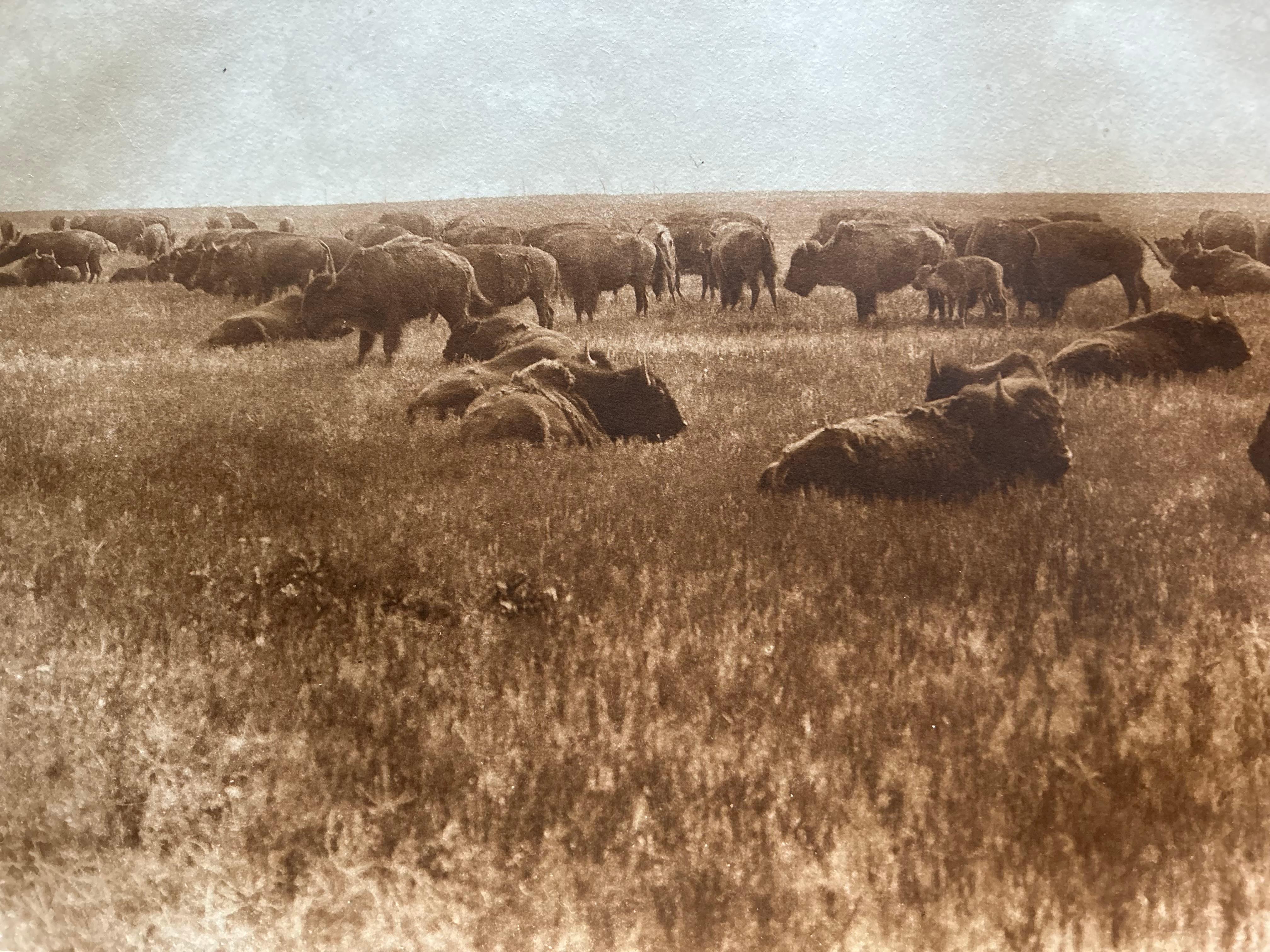 Edward S Curtis (1868-1952)
Titre : Comme autrefois 
Plaque : 652
Portefeuille : Volume 19 
Imprimeur : Suffolk Eng. Co. Cambridge Mass
Support : Photogravure
Date : 1927
Dimensions : 
Feuille : W 21 ½  H 17 6/16 
Image : W15 ½  H 11 ¼ 

Cette image