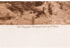 Edward S. Curtis (1868-1952) Scarce Sepia Photogravure Titled "Cree Boatwomen"