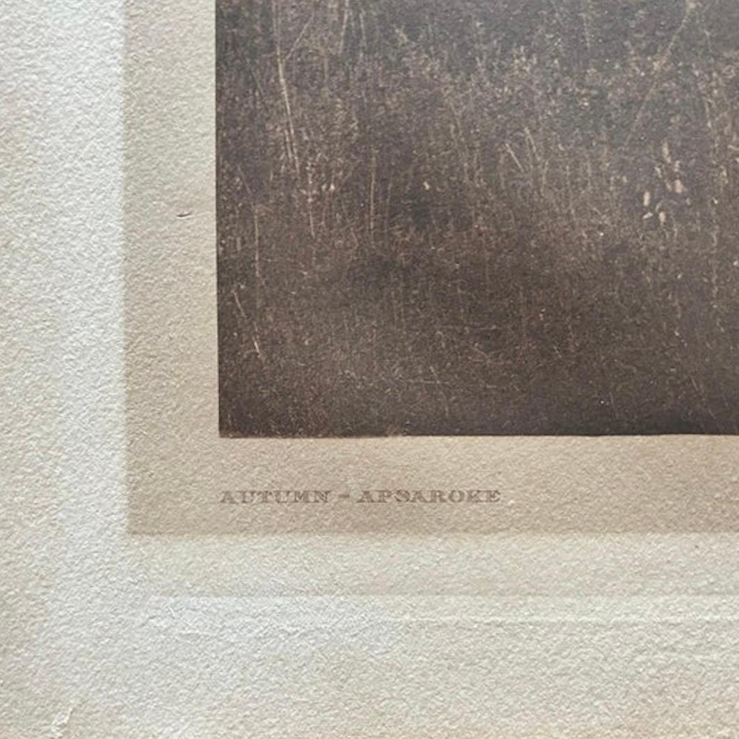 Edward S Curtis (1868-1952)
Title: Autumn - Apsaroke
Plate: 130
Portfolio: Volume IV
Printer: John Andrew & Son 
Medium: Photogravure
Date: 1908

Edward S Curtis captures a scene at dusk in the Little Bighorn Valley with such tenderness.  A private